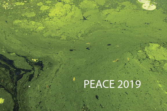 peace2019_card-96-2